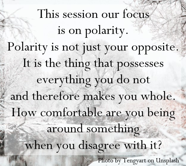 Polarity is not just your opposite. It is the thing that possesses everything you do not and therefore makes you whole.