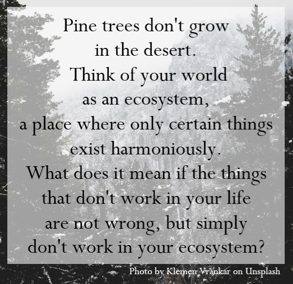 Think of your world as an ecosystem, a place where only certain things exist harmoniously.