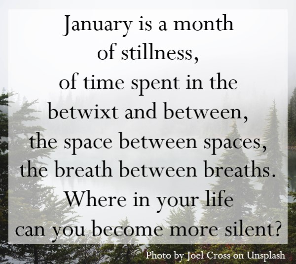 January is a month of stillness.