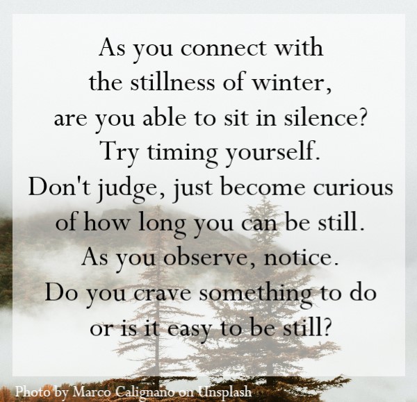 As you connect with the stillness of winter, are you able to sit in silence?