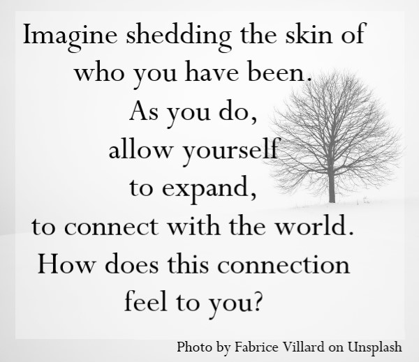 Imagine shedding the skin of who you have been.