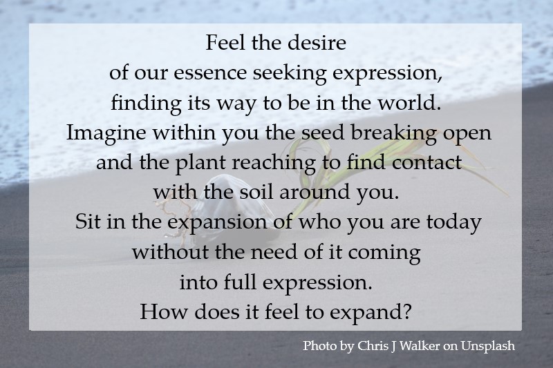 Feel the desire of your essence seeking expression, finding its way to be in the world.