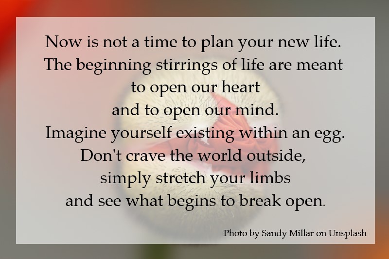 Don't crave the world outside. Simply stretch your limbs and see what begins to break open.