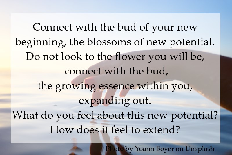 Connect with the bud of your new beginning, the blossoms of new potential.