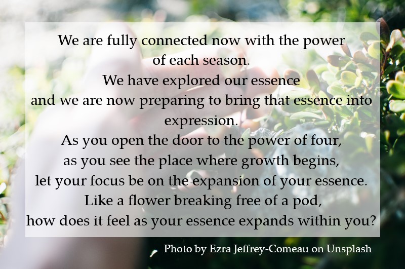 We are fully connected now with the power of each season.