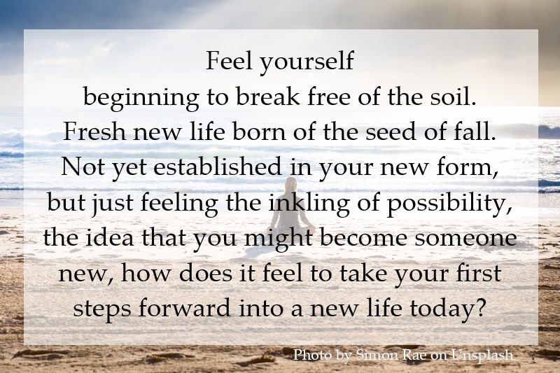 Feel yourself beginning to break free of the soil. Fresh new life born of the seed of fall.